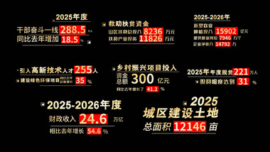 党政数据政策动画展示字幕花字