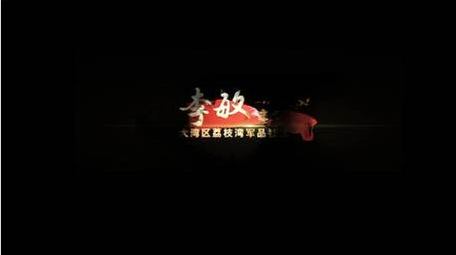 党政丝绸人名字幕条字幕花字