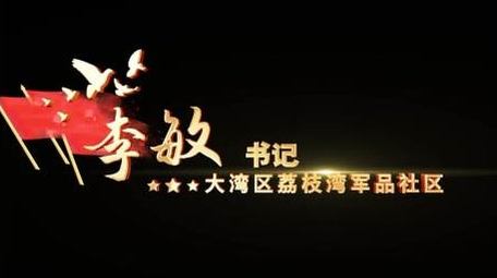 党政丝绸人名字幕条字幕花字