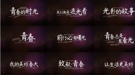 唯美光影字幕花字AE模板