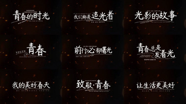 唯美光影字幕花字AE模板