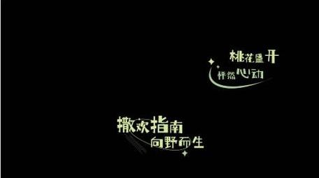 清新文字标题唯美落版动画字幕花字