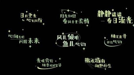 清新文字标题唯美落版动画字幕花字