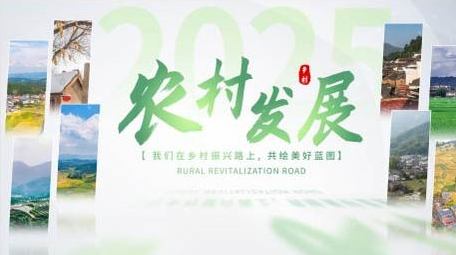 绿色乡村创意图文展示AE模板