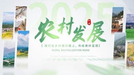 绿色乡村创意图文展示AE模板