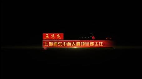 简洁党政人名字幕条动画展示字幕花字