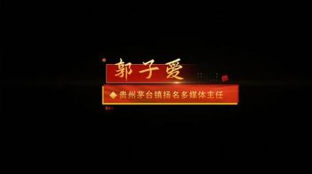 简洁党政人名字幕条动画展示字幕花字