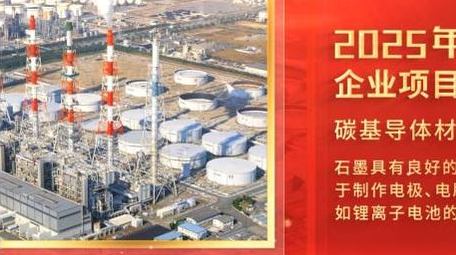 <strong>党政</strong>年度汇报动画<strong>图文</strong>展示AE模版