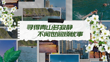 唯美温馨<strong>照片墙</strong>展示pr模板