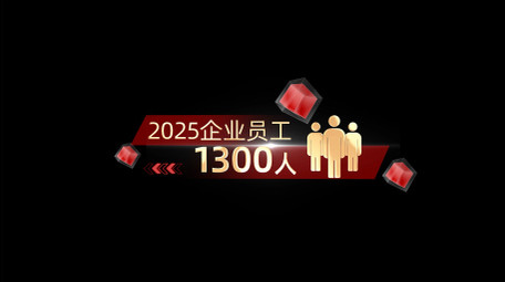 大气简洁党政数据字幕条AE模版