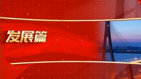 简洁<strong>党政</strong>标题篇章AE模板