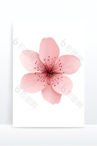樱花粉色花朵花瓣盛开免抠元素图片