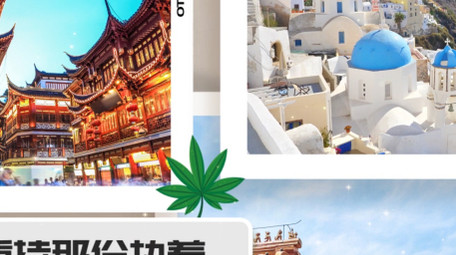 唯美温馨相册展示<strong>图文</strong>AE模板