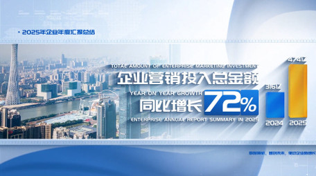 大气科技项目数据汇报ae模板