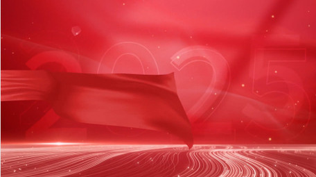 <strong>党政</strong>人物介绍<strong>图文</strong>背景视频模板