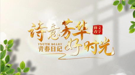 4K唯美清新光影变化片头AE模板