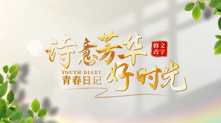 4K唯美清新光影变化片头AE模板