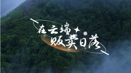 简洁清新文字字幕条AE模板