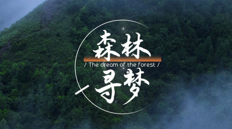 简洁清新文字字幕条AE模板