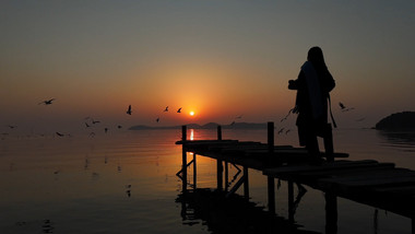 唯美黄昏海边<strong>日落</strong>海鸥剪影航拍