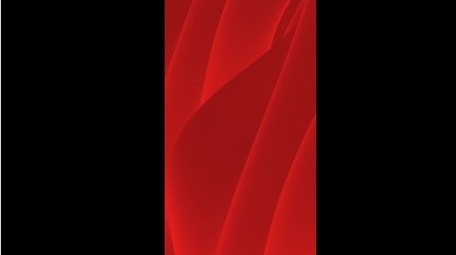 简洁红绸<strong>党政</strong>人物介绍竖版视频