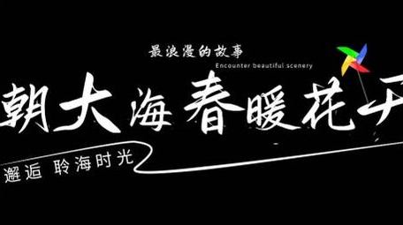 清新明亮文字动画展示字幕花字