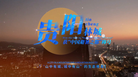 4k唯美翻页快闪片头AE模板