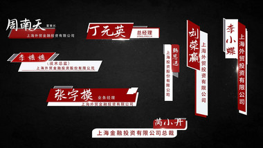 党政红色人名字幕条信息介绍字幕花字