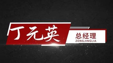 党政红色人名字幕条信息介绍字幕花字