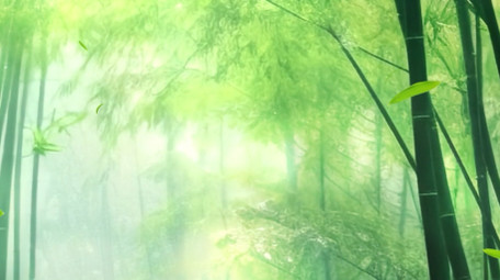 绿色清新光影竹林自然背景视频