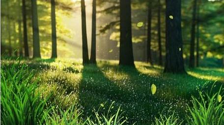 唯美光影绿色动画展示背景视频