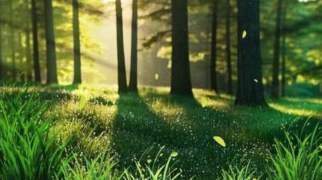 唯美光影绿色动画展示背景视频