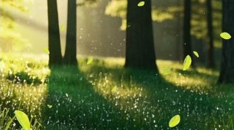 唯美光影绿色动画展示背景视频