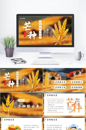 简约风橙色芒种节气介绍PPT模板图片