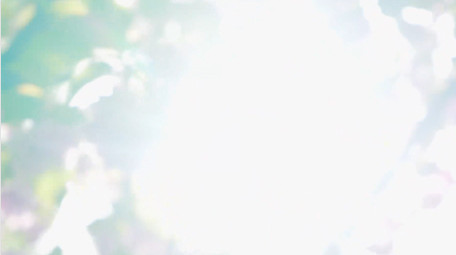 春天阳光唯美阳光晚樱樱花逆光晚樱4K实拍