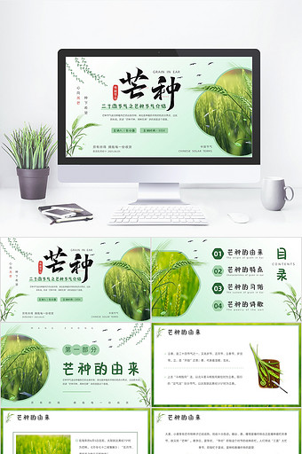 绿色简约风芒种节气介绍PPT模板图片