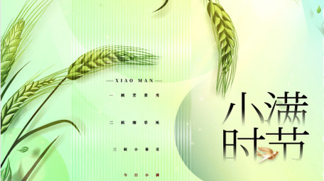 简约清新小满节气ae模板