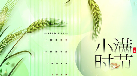 简约清新小满节气ae模板
