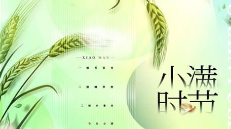 简约清新小满节气ae模板