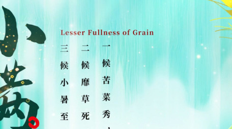 简约清新小满节气ae模板