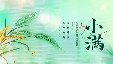 简约清新小满节气ae模板