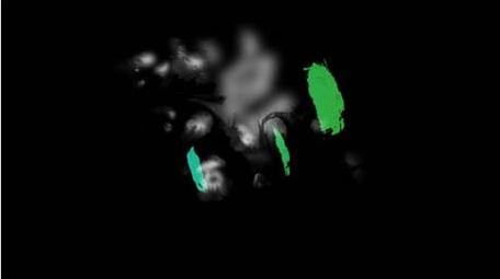 国风清新国潮动画水墨字幕花字