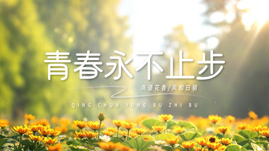 唯美光影夏日休闲背景视频