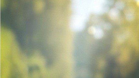 唯美光影夏日休闲背景视频