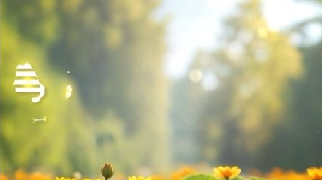 唯美光影夏日休闲背景视频