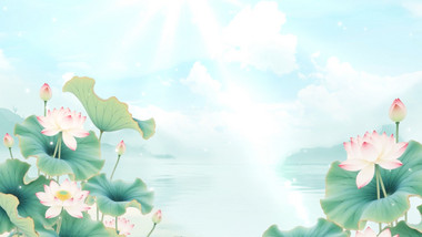 唯美清新夏日荷花氛围背景视频