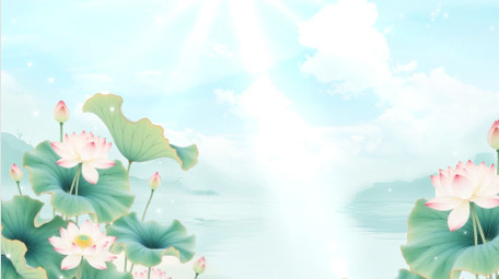 唯美清新夏日荷花氛围背景视频