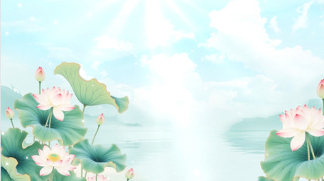 唯美清新夏日荷花氛围背景视频