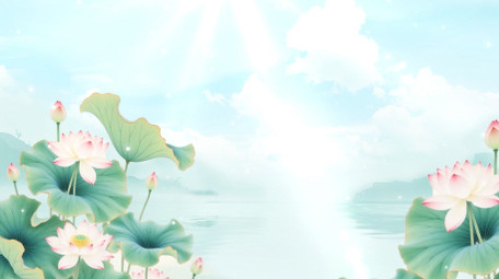 唯美清新夏日荷花氛围背景视频