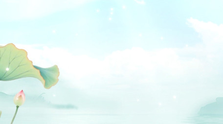 唯美清新夏日荷花氛围背景视频